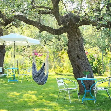 The Olive Garden Apartament *