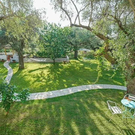 Apartament The Olive Garden *