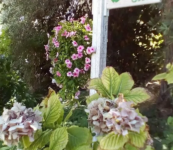 Lejlighed The Olive Garden Limenas (Thasos)