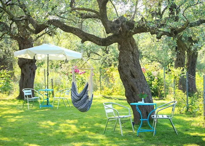 The Olive Garden Apartament *